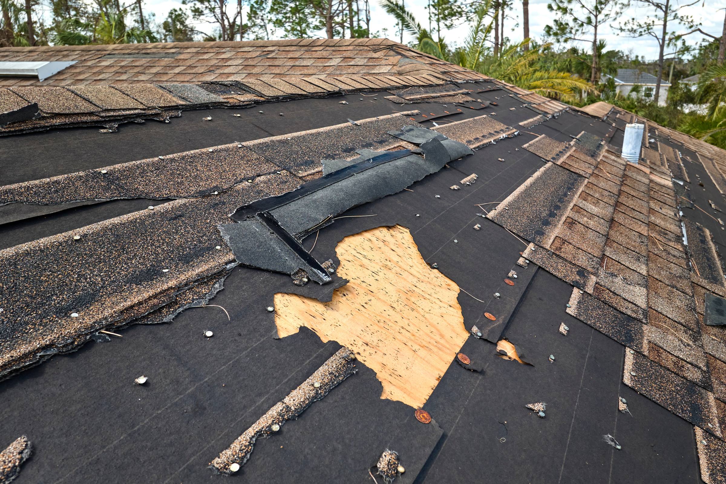Coastal Homeowners: Navigating Hurricane and Wind Damage Claims in Ocean County, NJ